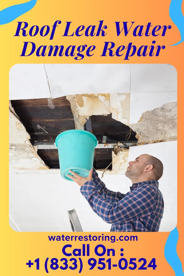 Roof Leak Water Damage Repair in Willapa, WA